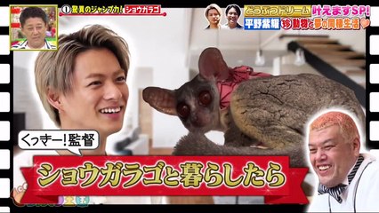 バラエティー動画 | バラエティまとめ - 坂上どうぶつ王国 動画 9tsu   2021年08月21日