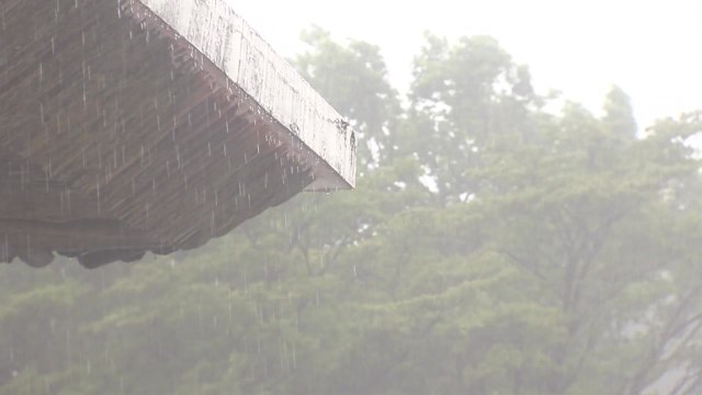 전국 많은 비...호우 위기경보 '주의'·중대본 비상 2단계 가동 / YTN