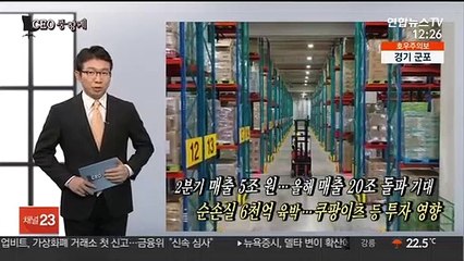 [CEO풍향계] '적자 누적' 김범석…'가석방 논란' 이중근