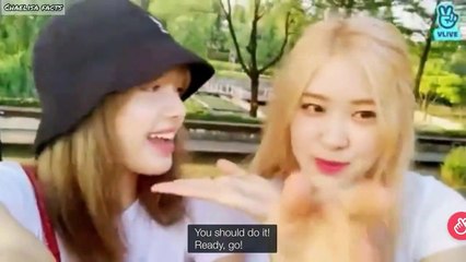 Chaelisa admiring each other for 12 minutes