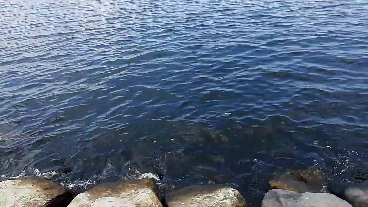 roxas boulevard