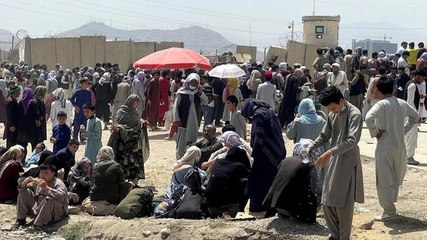 Pakistan foreign minister Qureshi likely to visit Kabul on Sunday: Reports