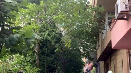 Sarıyer'de kopan elektrik kablosu alev aldı, olası faciadan dönüldü