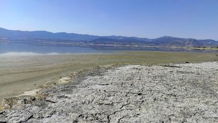 Son dakika... BURDUR GÖLÜ'NDE ALG PATLAMASI