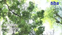 （たおやかインターネット放送)メモリーミュージック第１０８回クラシック音楽特集Classical music feature