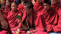 Monks performing the religious ceremony - Tsechu Festival