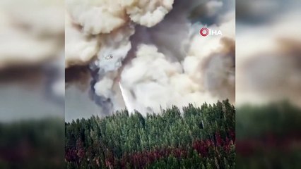 - California'nın en büyük ikinci yangını 705 bin dönümlük alanı küle çevirdi