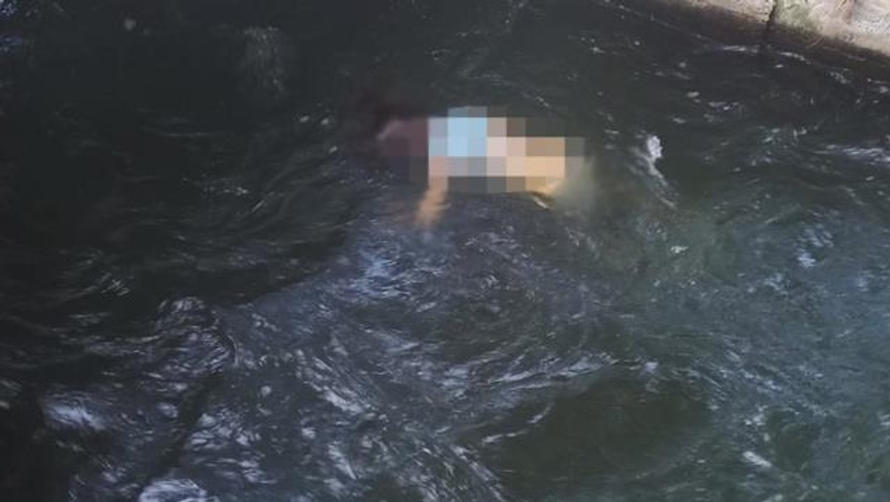 Dört gündür kayıp olan genç kızın cansız bedeni, sulama kanalında bulundu