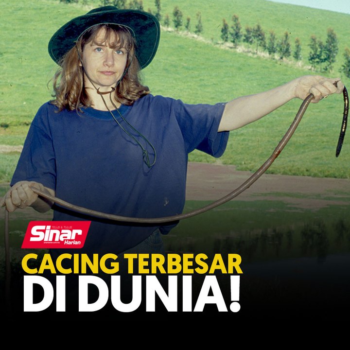 Cacing terbesar di dunia!