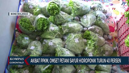 Akibat PPKM, Omset Petani Sayur Hidroponik Menurun
