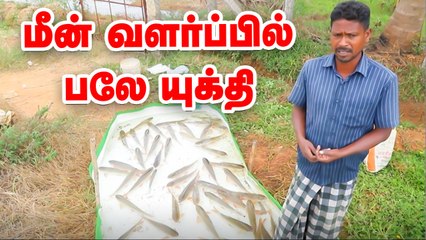 இப்படியும் மீன் வளர்ப்பில் வருமானம் பார்க்கலாம்! Fish Farming