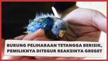 Burung Peliharaan Tetangga Berisik, Pas Pemiliknya Ditegur, Malah Begini