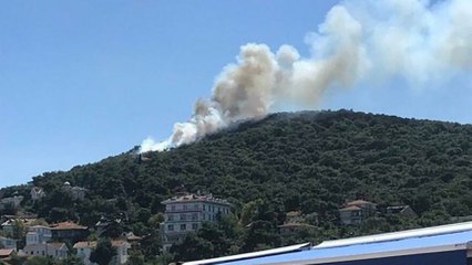 Heybeliada’da orman yangını çıktı