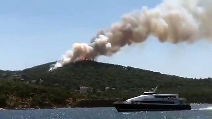 Heybeliada'da orman yangını!