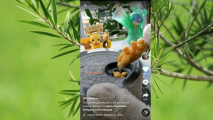 Chinise Cooking Cat #tofu cooking sweet card #cat cooking food