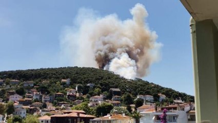 Son Dakika! Heybeliada'da yerleşim yerlerine yakın bir noktada yangın çıktı! Ekipler müdahale ediyor