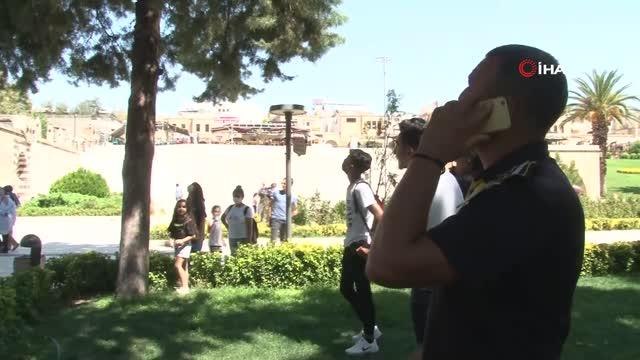 Ağaçta mahsur kalan kediyi itfaiye kurtardı