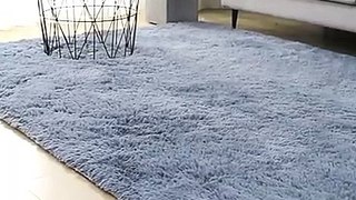 Thick Carpet for Living Room Plush Rug Children Bed Room Fluffy Floor Carpets Window Bedside Home Decor Rugs Soft Velvet Mat-Blankets-