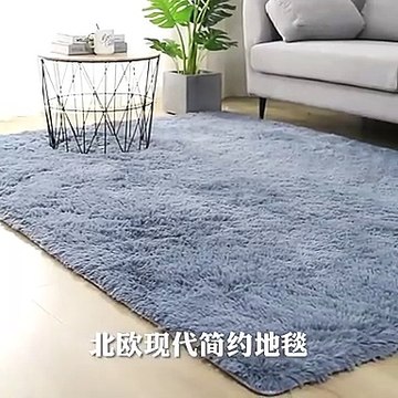 Thick Carpet for Living Room Plush Rug Children Bed Room Fluffy Floor Carpets Window Bedside Home Decor Rugs Soft Velvet Mat-Blankets-