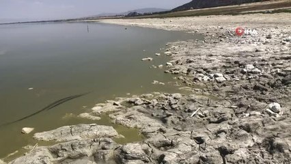 Son dakika haberleri! Burdur gölünde alg patlaması...Göl kahverengiye döndü