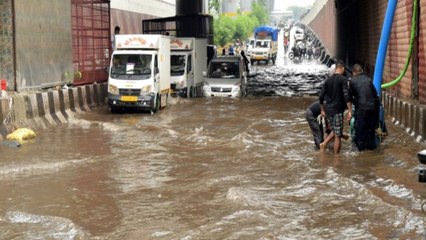 Delhi records highest one-day rain for August