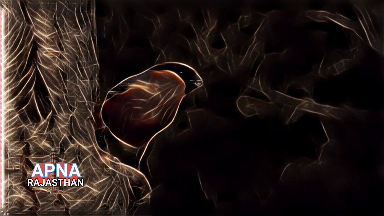 Top 10 Intro Templates 2020 No Text 3D & 2D Free Download