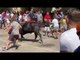Eyragues : les enfants prennent le taureau par les cornes