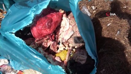 Şanlıurfa’da halk sağlığını tehdit eden iş yeri mühürlendi