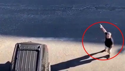 'Daire 16'nın sokak köpeği isyanı! Sosyal medyada "Parti kur oy verelim" yorumları yapılıyor