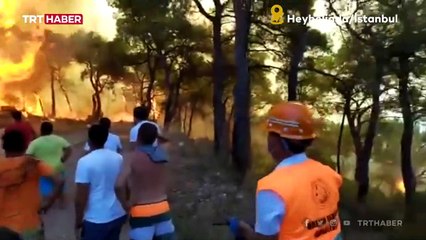 Heybeliada'daki yangına müdahale ediliyor