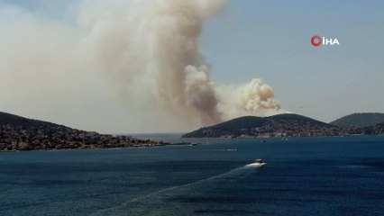 İstanbul Valiliği: 'Yangına 3 helikopter ile müdahale ediliyor'