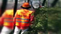 Heybeliada'daki yangına helikopterle müdahale anları