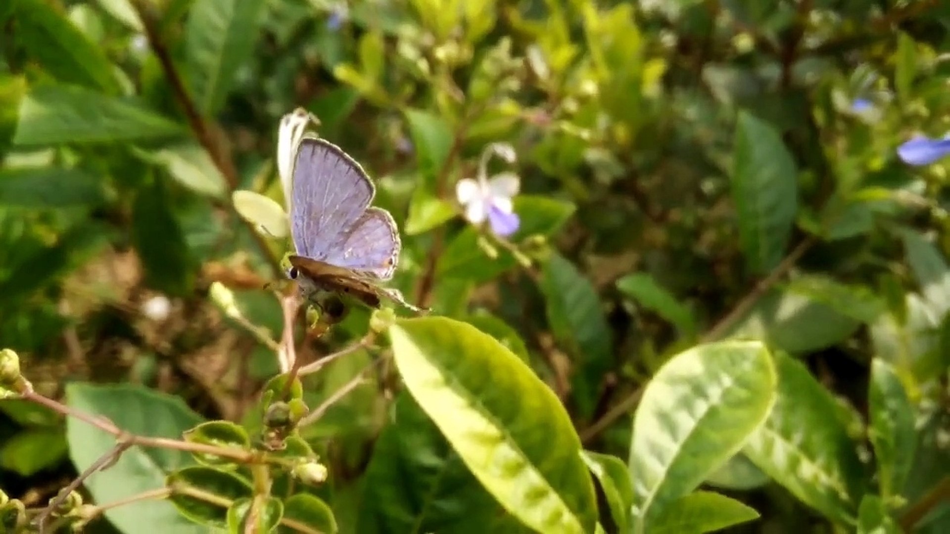 Meditation Music ,  Relaxing Music, Sleep Music,