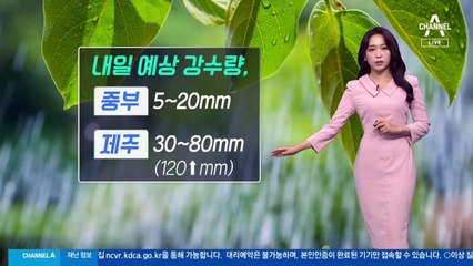 [날씨]내일 제주 폭우…해안가 강풍 주의