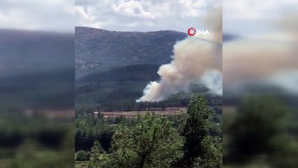 Denizli’de orman yangını büyümeden söndürüldü