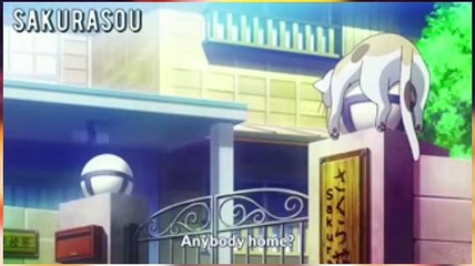 Watched Anime Funny Moments | Most Famous Anime Moments | Most Popular Anime Moments | Popular Anime Funny Moments | Anime Funny Moments Reaction | Anime Funny Moments Reaction Mashup