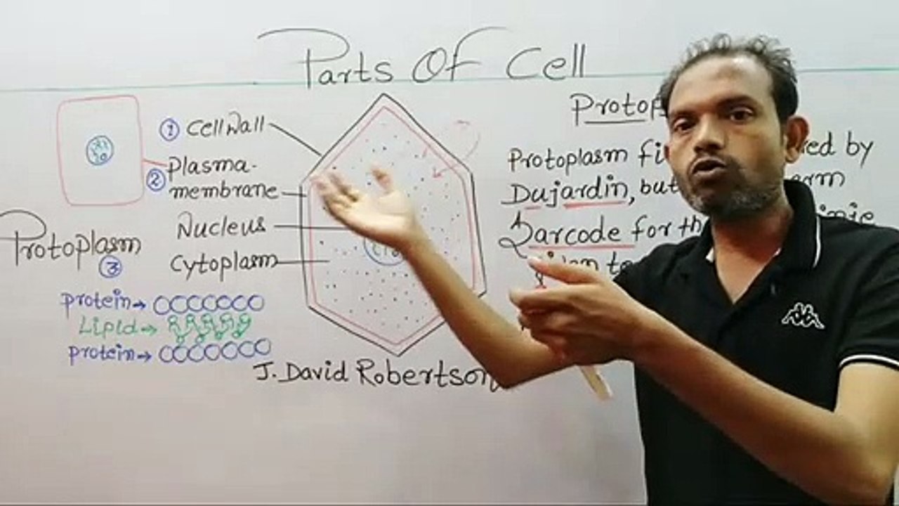 CBSE-9th Biology,Parts of Cell,कोशिका के अंग,ms Patel e learning_HD