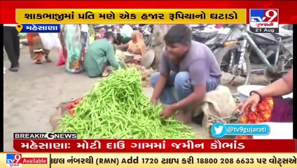 Mehsana_ Farmers unable to make profit due to plunging vegetable prices_ TV9News