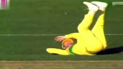 Top 10 Biggest Cheating in Cricket Behind the Camera|sports choice