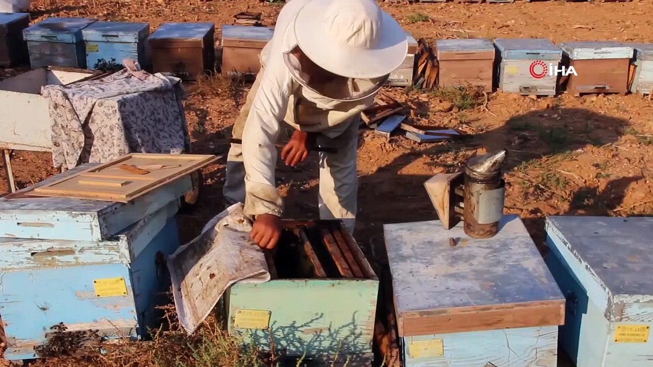 Türkiye Arı Yetiştiricileri Merkez Birliği Başkanı Ziya Şahin: “Acil eylem planı hazırlanmalı”