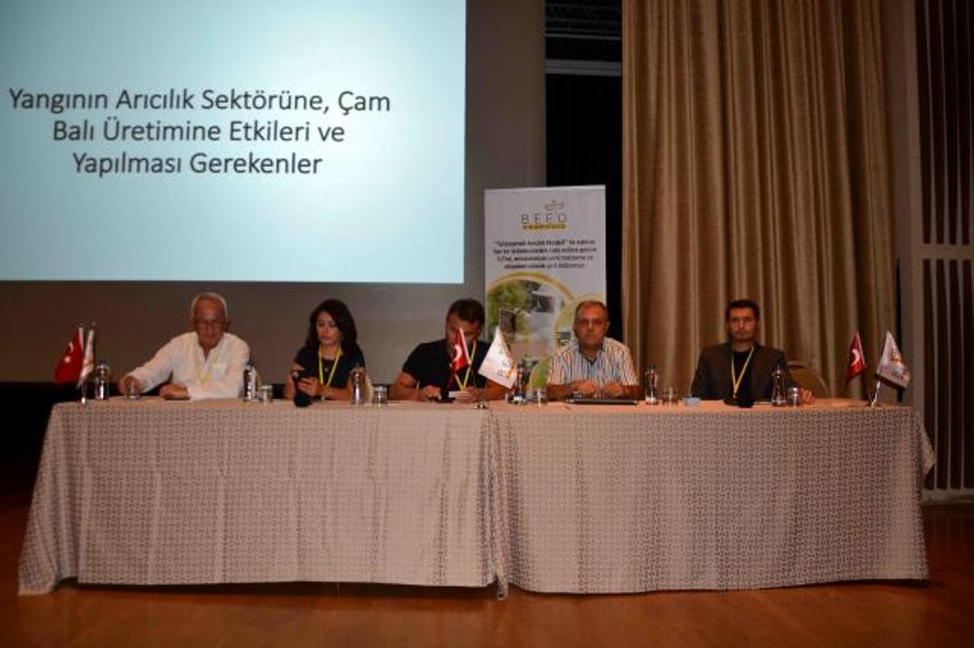 Türkiye Arı Yetiştiricileri Merkez Birliği Başkanı Ziya Şahin: "Acil eylem planı hazırlanmalı"