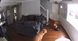 Dog's Tail Gets Stuck in Robotic Vacuum and he Wrecks it by Running up the Stairs and Dropping it