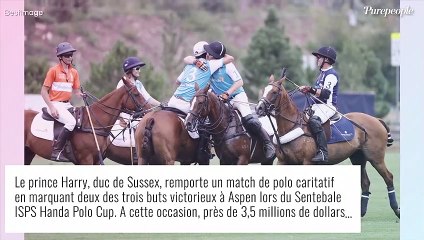 Prince Harry, écolo "hypocrite" : il enchaîne les voyages à bord d'un jet...