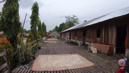 "RUMAH RADAKNG" Dayak Traditional Architecture West Kalimantan #rumahpanjang #dayak #traditional