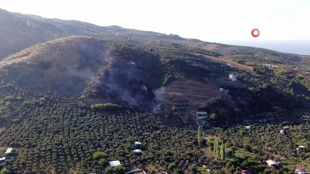Bursa'daki orman yangını söndürüldü
