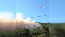 Son dakika haberleri... Bursa'da ikinci orman yangını