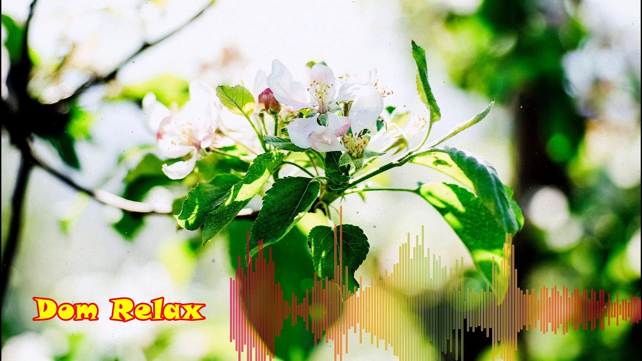 30 Minute Relaxing Music For Sleeping And Studying / Beautiful Piano Music