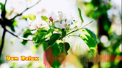 30 Minute Relaxing Music For Sleeping And Studying / Beautiful Piano Music