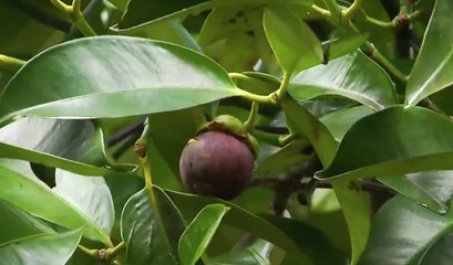 ข่าวค่ำ ช่วงที่ 3  วันเสาร์ที่ 14 ส.ค.64