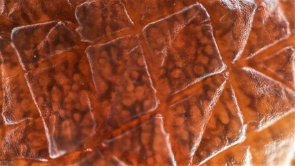 human skin under the microscope 